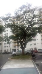Blk 305 Yishun Rivergreen (Yishun), HDB 4 Rooms #455944951